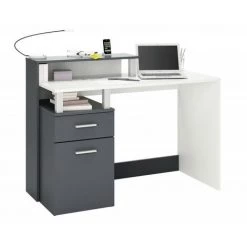 DEMEYERE Bureau Multimédia Devin - Gris - Gris/blanc