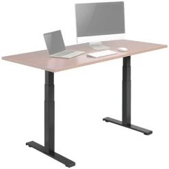 FROMM & STARCK Piètement De Bureau Assis Debout Réglable En Hauteur Pied De Table 125 Kg Noir - Noir 10 FROMM & STARCK Piètement De Bureau Assis Debout Réglable En Hauteur Pied De Table 125 Kg Noir - Noir -France Bureau Soldes 2022 33471673 4