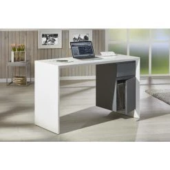Dmora Bureau Avec 1 Tiroir Et 1 Porte, Gris Et Blanc, 120x70x75 Cm