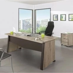 LES TENDANCES GAMI Ensemble Bureau L 140 + Caisson 2 Tiroirs - Décor Bois - SALSA