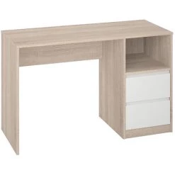 Bureau Coloris Chêne / Blanc - Longueur 120 X Hauteur 75 X Profondeur 50 Cm -PEGANE-