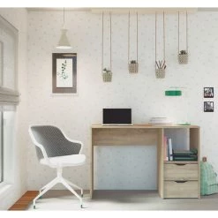 Bureau 2 Tiroirs Coloris Cambrian - Hauteur 76 X Longueur 115 X Profondeur 50 Cm -PEGANE- 7 Bureau 2 Tiroirs Coloris Cambrian - Hauteur 76 X Longueur 115 X Profondeur 50 Cm -PEGANE- -France Bureau Soldes 2022 42853377 3