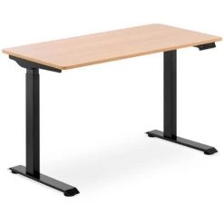 FROMM & STARCK Bureau Assis Debout Table Réglable En Hauteur 120 X 60 X 73-123 Cm Marron/Noir - Noir
