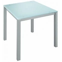SANS MARQUE Bureau Droit Plateau En Verre Aigue-marine L 80 X P 80 Cm, Piétement Métal Droit - Next - Aluminium - Maxiburo - Aluminium