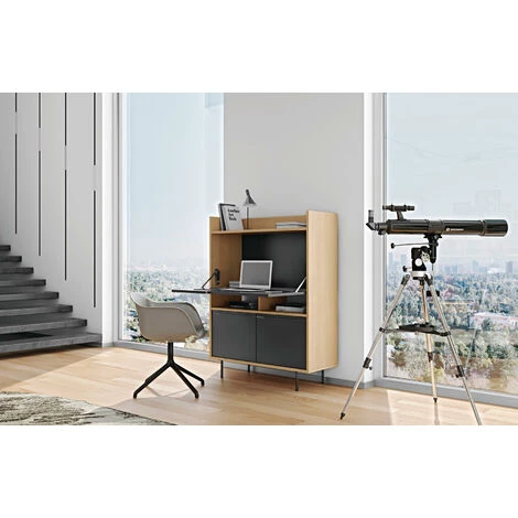 TEMAHOME - Bureau LIME Chêne Et Noir Laqué - Rovere E Lacca Nera 4 TEMAHOME - Bureau LIME Chêne Et Noir Laqué - Rovere E Lacca Nera – Image 2