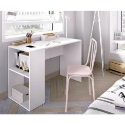 CAESAROO Bureau 115x50 Cm Ines Blanc Mat Avec étagère Latérale | Blanc