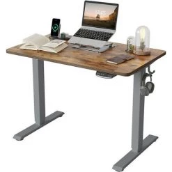 FEZIBO Bureau Assis Debout Électrique - 100*60 Cm Bureau Table Debout Réglable En Hauteur Avec Plateau Entier, Panneau Contrôle à Fonction Mémoire, Système Anti-Collision Cadre Gris/Planche Marron
